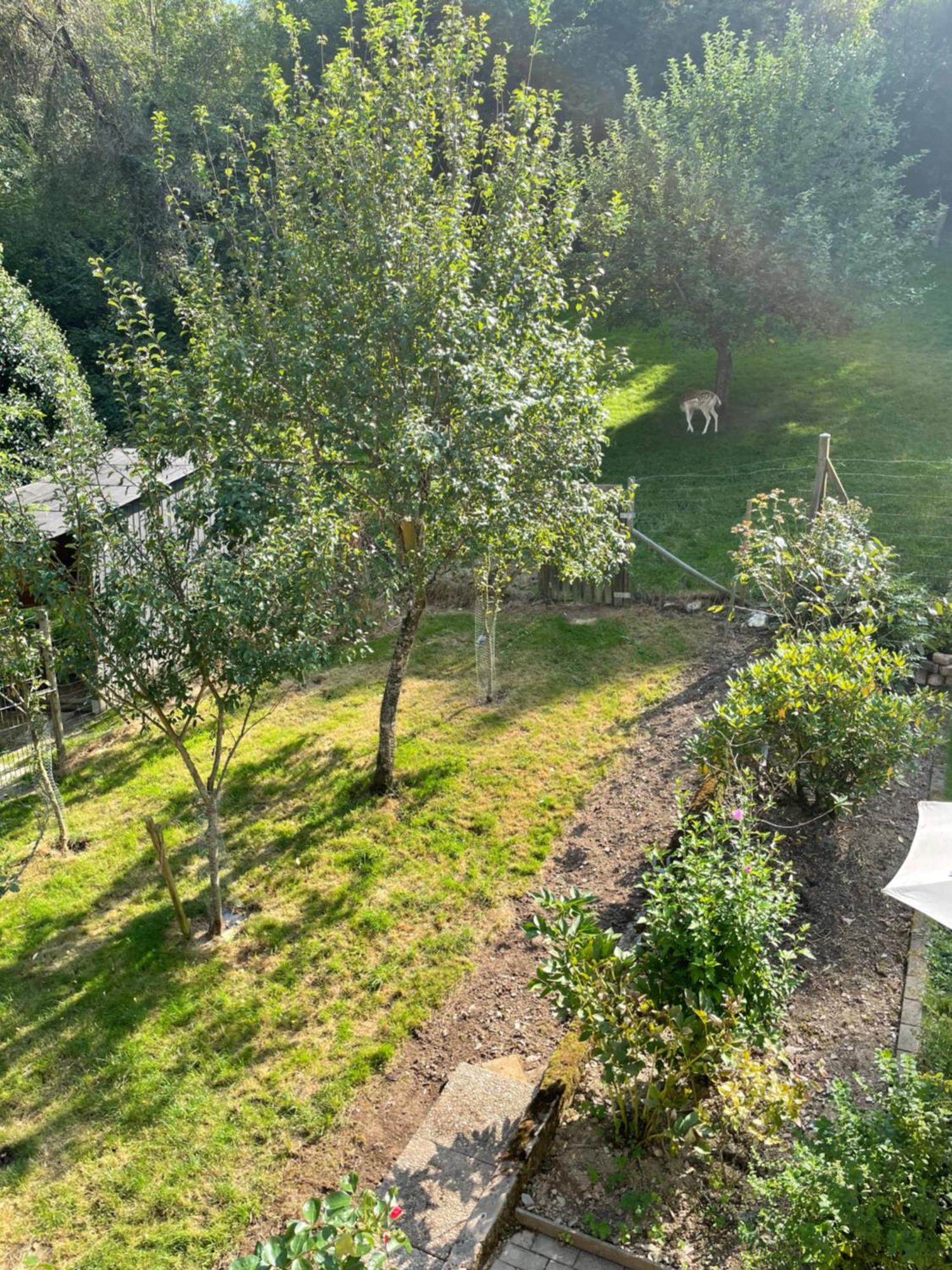 Deni'S Ferienwohnungen Klotten Exterior photo